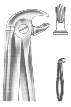 Extracting Forceps English pattern 